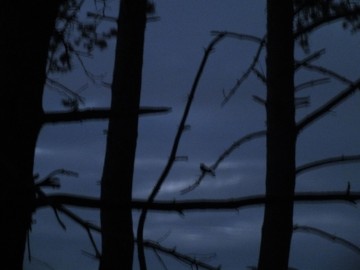 Zaproszenie na Noc lelków w OT NPK, 